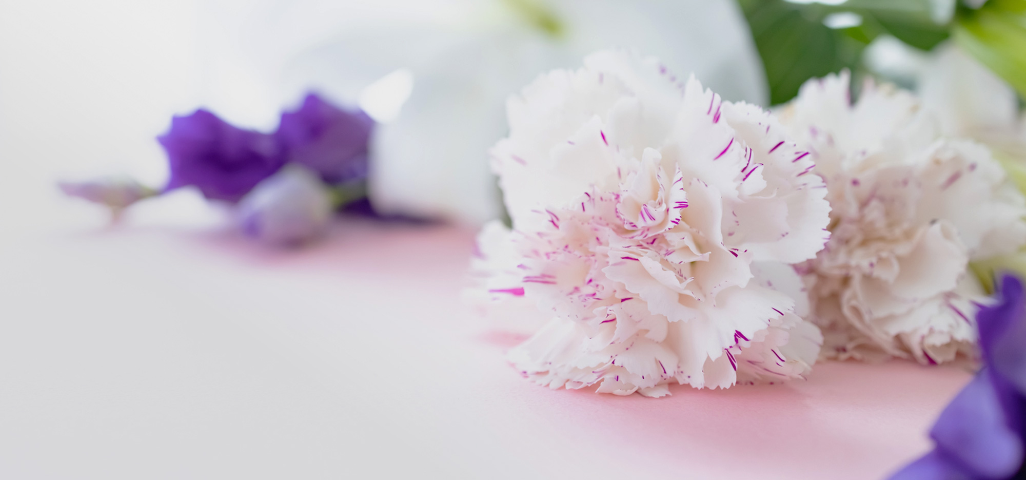 惜しいあの方の、行き届いたお見送りを